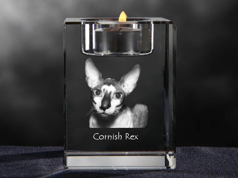 Cornish Rex – Candle holder with cat photo, crystal tealight holder | Art-Dog