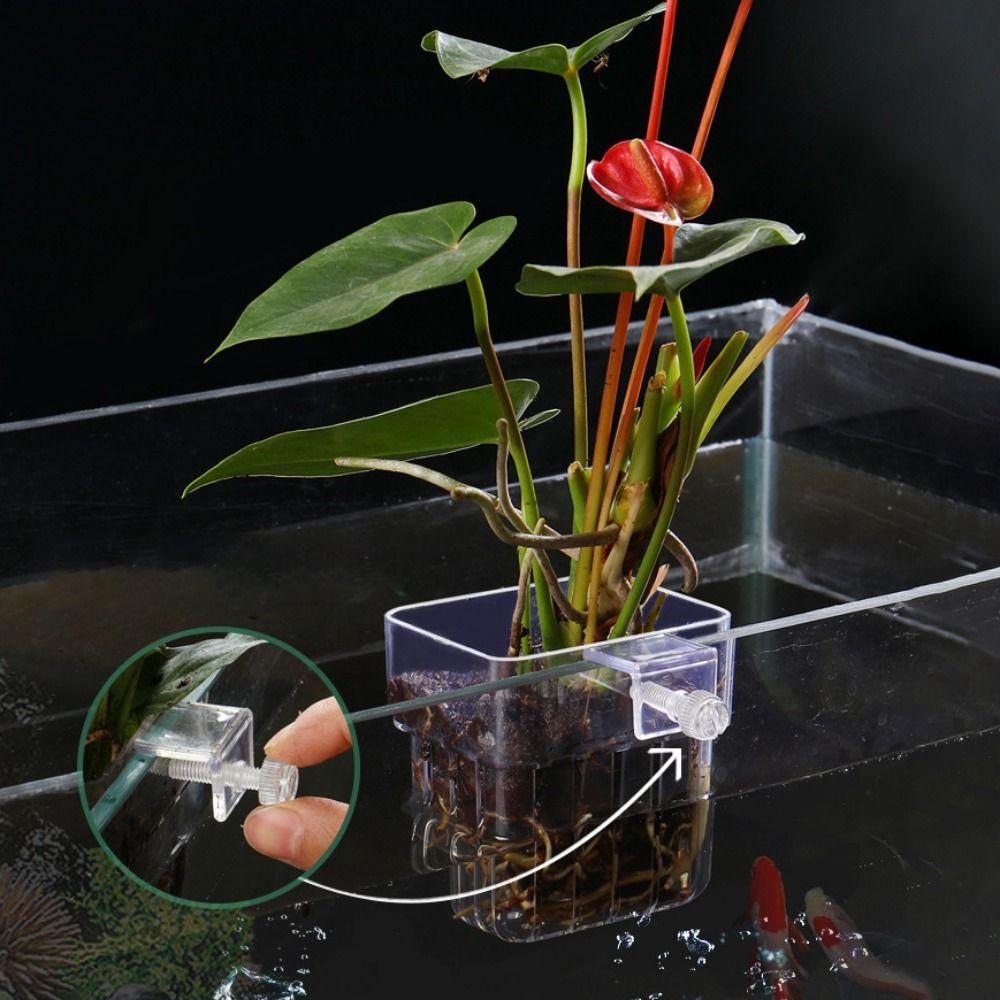 Transparent Hydroponic Support Cup Plastic Aquatic Plant Holder Water Grass Cup For Fish Tank