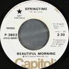 7-дюймовая пластинка BEAUTIFUL MORNING Весенняя P3803PROMO CAPITOL RECORD 1973 США Поп Б/у