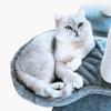 Милые мягкие гамаки для кошек Удобные лежанки-ложки для кошек Каркасы для лазания для кошек Своими руками Места для отдыха кошек