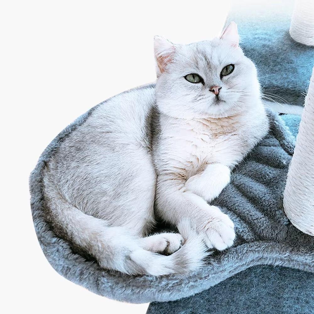 Милые мягкие гамаки для кошек Удобные лежанки-ложки для кошек Каркасы для лазания для кошек Своими руками Места для отдыха кошек