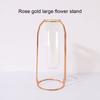 Nordic Creative Vase Home Decor Golden Glass Hydroponic Plant Holder Iron Line Flowers Ornament Garden Decoration Hot