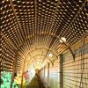Waterproof LED Net Light String
