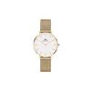 Daniel Wellington [Official Shop/2-Year Warranty/Authentic Import] DW Women's Petite Evergold Yellow Gold 32mm Watch, Stylish, Popular, Cute, Simple,