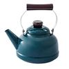 TakumiJAPAN Kettle Enamel Iron Green IH Compatible Gas Fire Compatible 2.3L TKM-2.3K.G