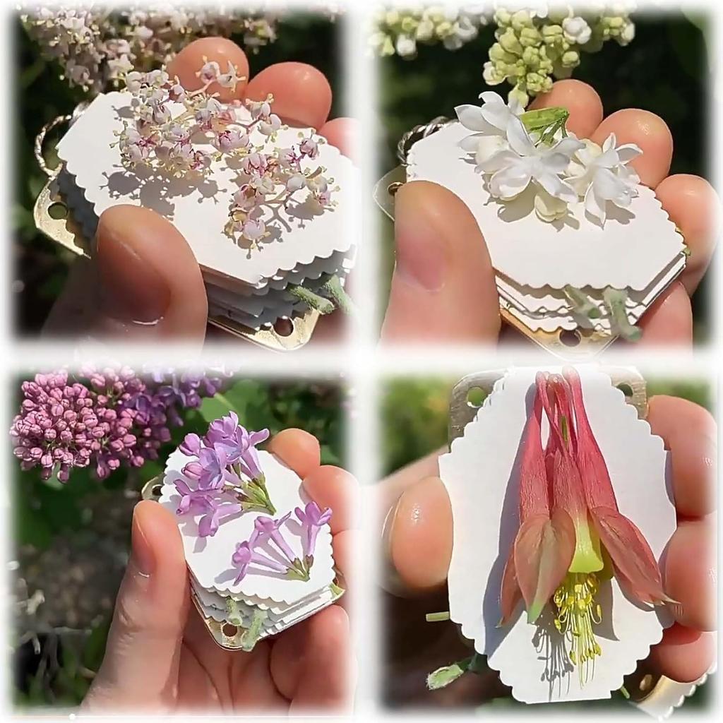 Micro Flower Press, Miniature Flower Press Kit, Plants Art & Crafts Metal Flowers Pressing, DIY Pressed Plant Preservation Kit for Plant Lover Gifts