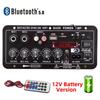 220V 12V Digital Bluetooth Amplifier Board Subwoofer Dual Microphone Karaoke Amp Speaker Rechargable Version