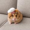 Breathable Hamster Cosplay Hat Adjustable Pet Dress Up Hat Pet Costume Hat  Birthday Party