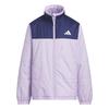 Детская куртка Adidas Essentials с утеплителем, цвет пудрово-синий, размер 160, унисекс, VD376, Сливовый/Темный (KA1340),