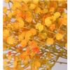 5pcs 3 Branch Fake Baby's Breath Plastic Artificial Flower Stems Fake Silk Flowers  Home Decoration