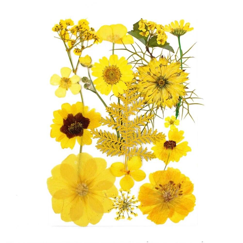 15pcs Dried Flower Natural Flower Stickers Dry Beauty Decal For DIY Plants Art Craft Floral Decors Making Accessories