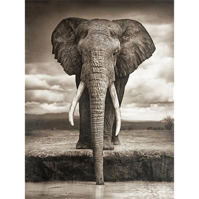 5D Алмазная картина Слон Полный круглый дрель Животное Новое поступление Алмазная вышивка Крестиком