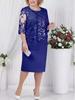 Вечернее платье больших размеров небесно-голубого цвета с кружевной аппликацией и рукавами длиной пять четвертей для женщин