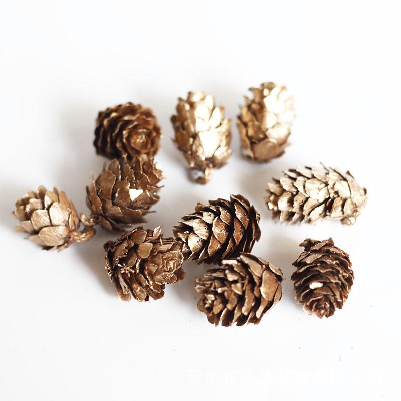 Pistachio Cross Fruit & Fish Scale Pine Gomphrena DIY Dried Flower Weaving Material