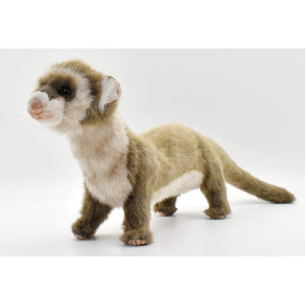 BH6310 HANSA Ferret 56