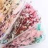Real Dried Flower Material Plant Specimen Making Scrapbook Crafts Accessories