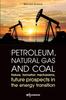 The Petroleum, Natural Gas and Coal : Nature, Formation Mechanisms, Future Prospects In the Energy Transition Book