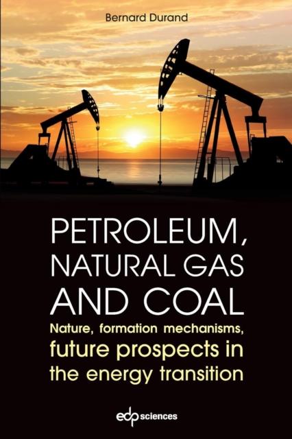 The Petroleum, Natural Gas and Coal : Nature, Formation Mechanisms, Future Prospects In the Energy Transition Book