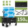 AHEAD GALE Carry Wagon Outdoor Large Capacity Folding Outdoor Wagon Carry Cart Camping Cart Equipped with Wide Tires (Black (M))