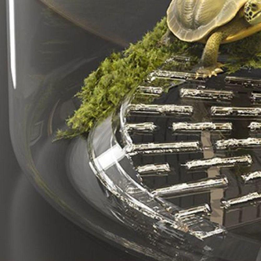 Transparent Fish Bowl Anti-broken Desktop Small Aquarium Multifunctional Viewing Tank  Office