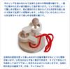 3D Puzzle Ring (2-Tier) - Japan Good Toy Award Winner, Made in Japan, Wooden Toy, Brain Teaser, Brain Training Game, Wooden Threading Puzzle, Brain