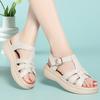 Fashion AIYUQI Women's Sandals Wedge 2025 New Platform Fish-mouth Roman Sandals For Women Summer Large-size Beach Female Shoes