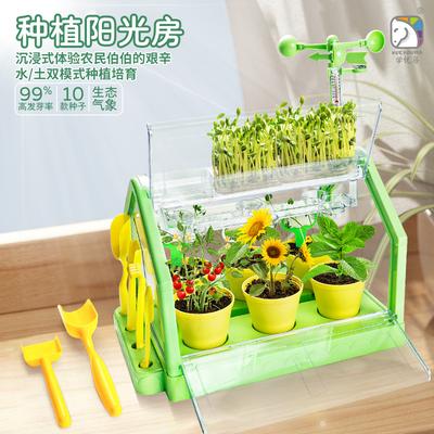 Xueyouma Sunshine House Planting Детские игрушки для овощей Научный эксперимент Растение в горшке Ручная работа Материал для поделок Растение Цветочный дом