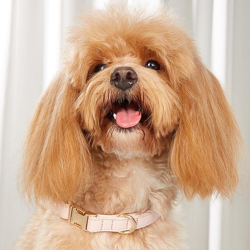 Ошейник для собак, ошейник для кошек в стиле ретро конфетного цвета, ошейник для маленьких и средних собак, ошейник для домашних собак