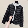 Inner Pot Warm and Lightweight Cotton Jacket for Women's Autumn and Winter Round Neck Short Cotton Jacket