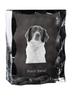 French Spaniel, French Setter – Crystal with a picture of a dog, glass statuette with a picture | Art-Dog
