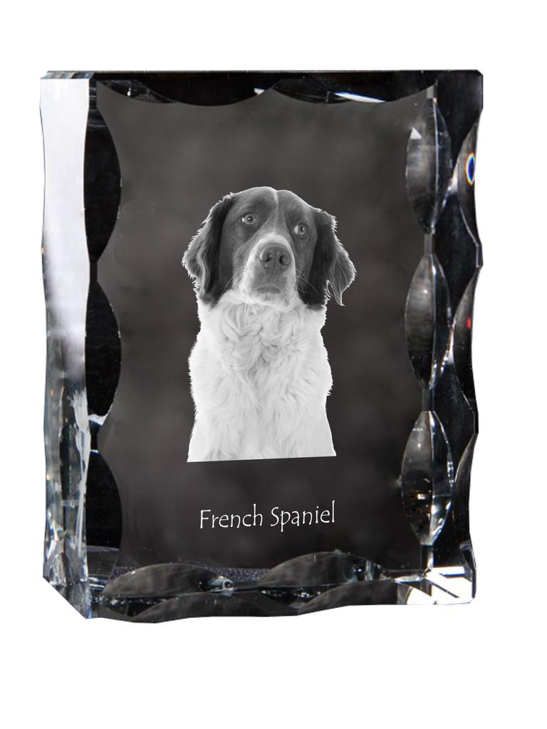 French Spaniel, French Setter – Crystal with a picture of a dog, glass statuette with a picture | Art-Dog