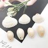 20Pcs Natural Sea Shells Conch Coquillage Beads Pendant Craft Diy Jewelry Making