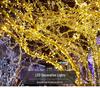 Outdoor LED Twinkling String Lights for Garden, Festival, Christmas, Wedding, Courtyard Decoration