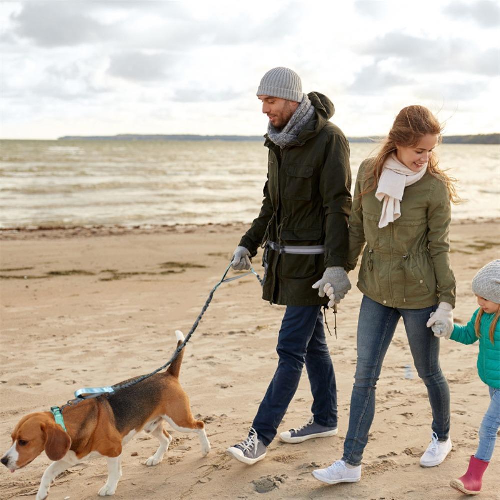 Hands Free Dog Traction Rope Dual Handle Pet Leads Retractable Dog Leash Pet Supplies