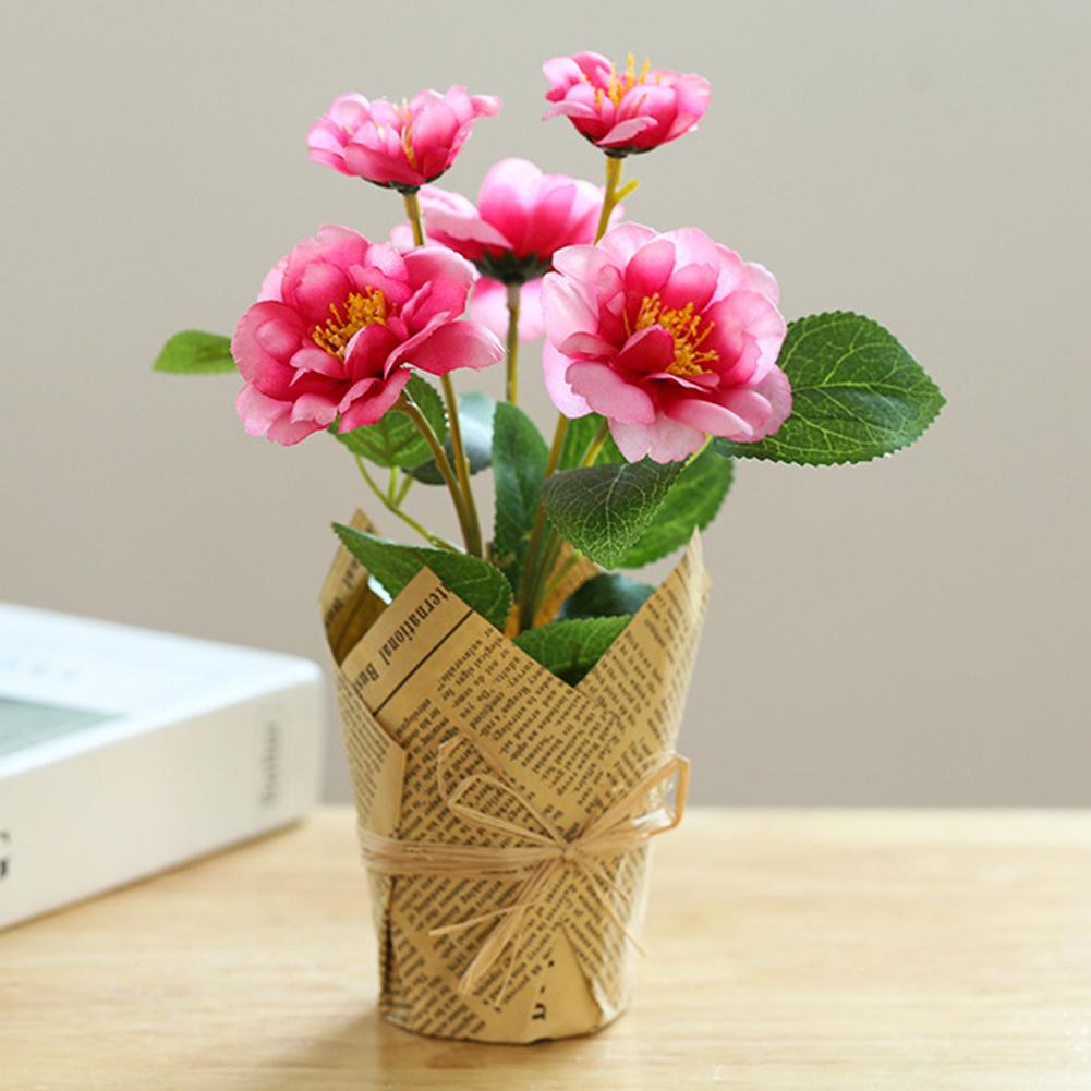 Красивый цветок розы, яркие цвета, изысканное мастерство