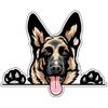 WickedGoodz German Shepherd Decal - Smiling Dog Breed Bumper Sticker - for Laptops Tumblers Windows Cars Trucks Walls - Full Color 3inch