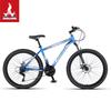 Phoenix ZB888 Mountain Bike