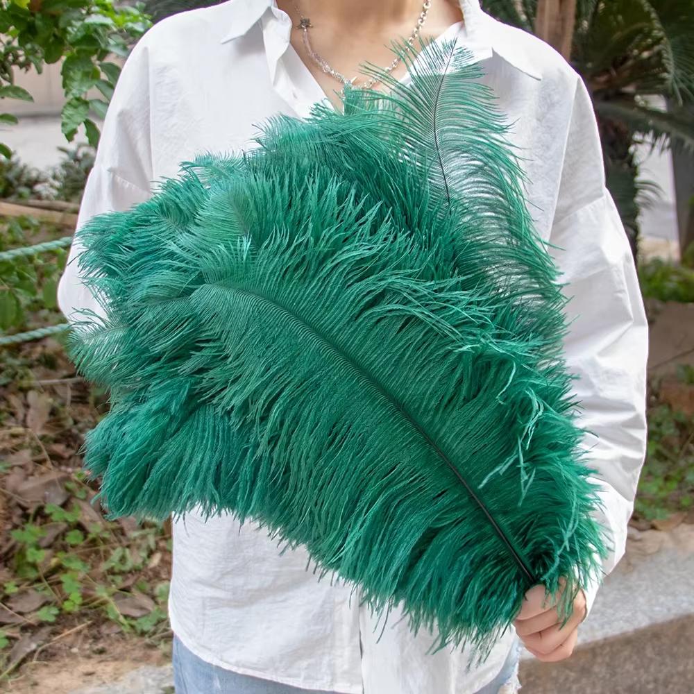 15-60Cm Natural Ostrich Feathers | High-Quality For Diy, Wedding, Party, Stage, Costume & Home Decor | Various Colors Available