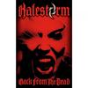 Halestorm Back From The Dead Poster