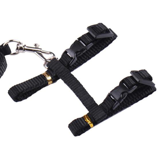 Обучение прогулке домашних животных, кошек, кроликов, мягкие ремни, поводок, тяговый ремень, инструмент