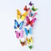 Butterfly Wall Stickers with Magnet Backs 3D Art Decals for Home and Kids Rooms