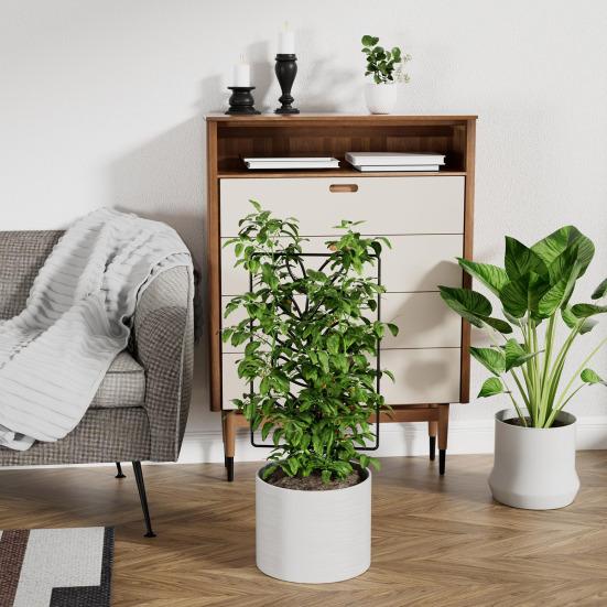 Metal Plants Trellis Hollow Leaf Indoor Outdoor Potted Flowers Plants Climbing Small Houseplant Vine Ivy Support Stake Gardening Supplies