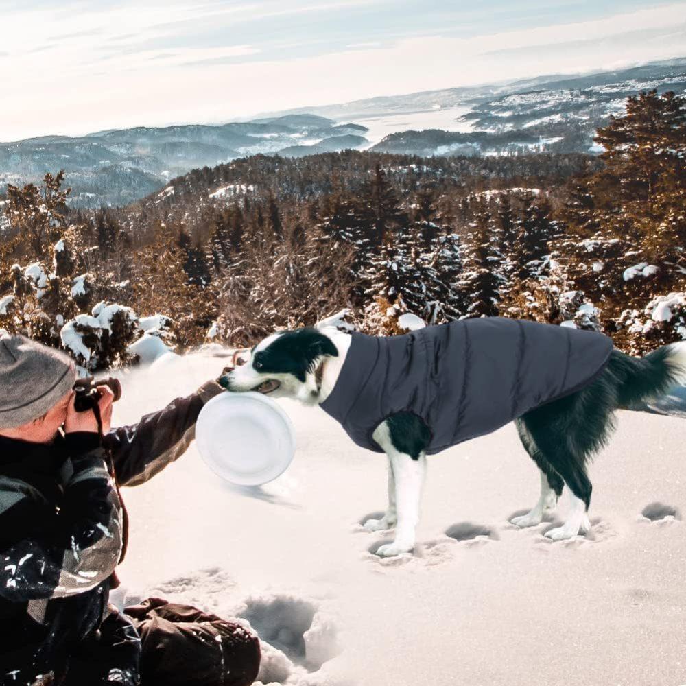 Ветрозащитное пальто для собак. Водонепроницаемая зимняя куртка для собак. Теплый жилет для собак. Одежда для домашних животных в холодную погоду с 2-слойной флисовой подкладкой для маленьких, средних и больших собак.