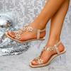 Женские сандалии Лето Новая Мода Обувь Женская Блестящие Цветы Стразы Прозрачный Каблук Сандалии с Открытым Носком Женские Zapatos De Mujer