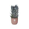 ELHO Pot de fleurs rond avec roues Vibes Fold - Ø 35 x H 32 cm - Intérieur - 100% recyclé - Rose