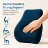 Sleepsia Back Support for Office Chair with  Lumbar Support Pillow