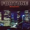 CD FORTUNE Сюжет... ALCB3131 Брюнетка 1996 Япония ObiRock Б/у