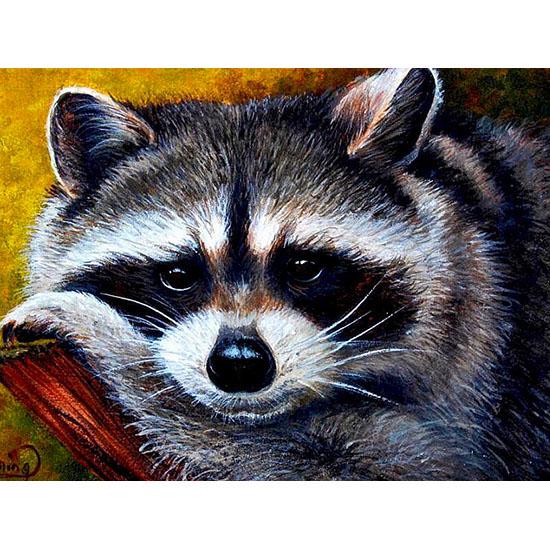 Алмазная мозаика,,Крошка енот