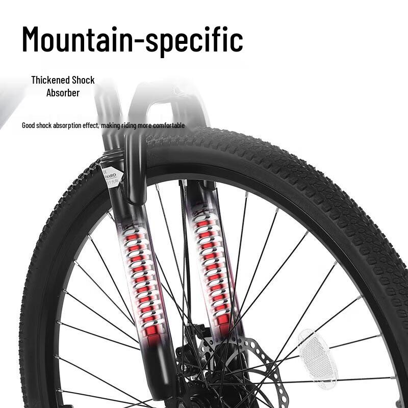 Flying Pigeon DF005 Mountain Bike