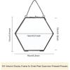 FINGERINSPIRE Hanging Glass Frame Brass Hexagon Wall Frames (6x6 Inches) for Display Pressed Plant Specimen Dried Flowers Black DIY Vintage Artwork